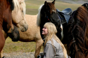 Langhús Horse Tours
