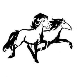 Langhús Horse Tours